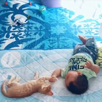 茶トラ子猫の手を掴む赤ちゃんの奥でカーテンが揺れる