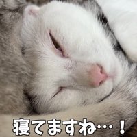 寝てますね…！