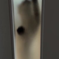 ドアの向こうの猫