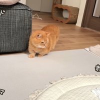 ベッド・ママ・赤ちゃん