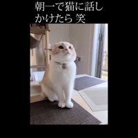 見上げた姿