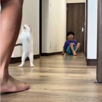 廊下で遊んでいる子どもと子猫