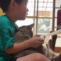 ゲームをしている男の子と猫
