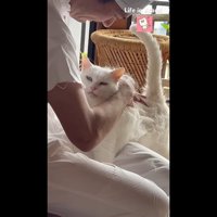 こちらを向いて