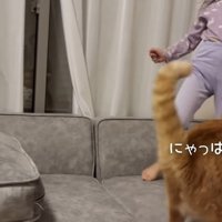 にゃっはーーん