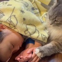 寝ている子どもと猫