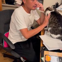 ノートの上に乗っている猫を優しく手で押す男性