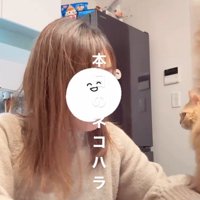 猫が通過し髪が乱れた飼い主