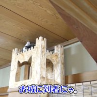 お城に着いたボス吉くん