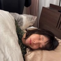 寝ている人とその後ろを歩いている猫