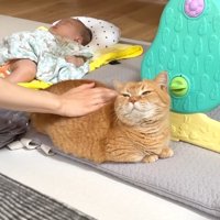 背中なでなで