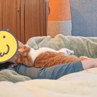 スマホを置いて猫を見つめる飼い主
