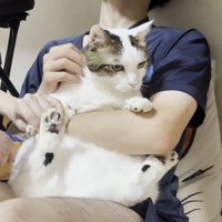 白黒猫ちゃん