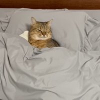 上から(目を細めた顔)