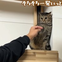 そろそろ一発