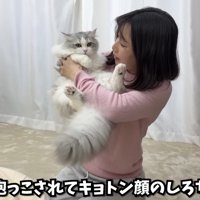 きょとん顔のしろちゃん