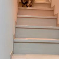 パパさんから離れていく猫