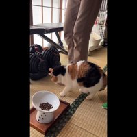 床を見つめる姿