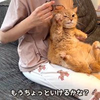 もうちょっといけるかな？