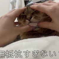 顔むにゅされても無抵抗なみにらくん