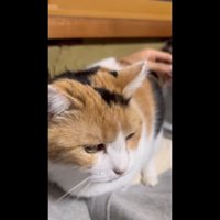 左脇に