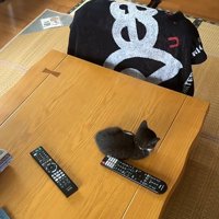 斜め上からのテーブル全体