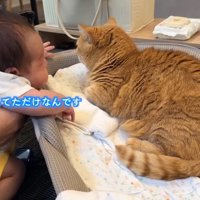 ちょっと外食
