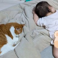 猫と赤ちゃん