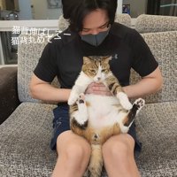 背中を丸める猫