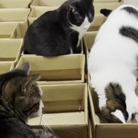 おやつをあげるお母さん