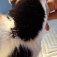 後頭部のアップ
