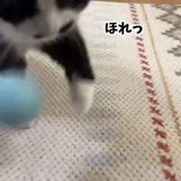 ほれっ