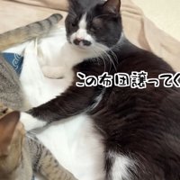 この布団譲ってください！