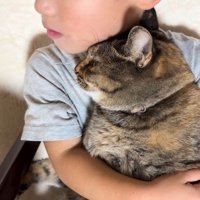 男の子に抱っこされている猫