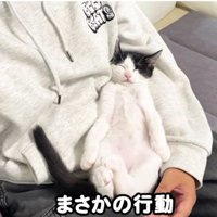 男性と寝ている猫