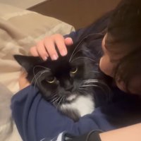 布団に潜り込んでいる猫と隣で寝ている子ども