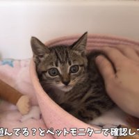 「もしや遊んでる？…」のテロップ写真