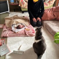 赤ちゃんとじいじと猫