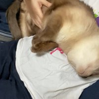 ひっくり返って