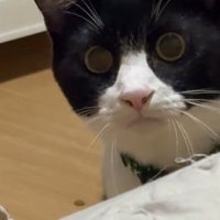 狙う