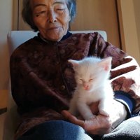 おばあちゃんの手に乗る子猫