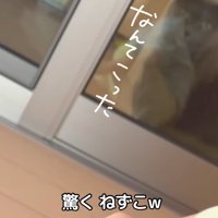 なんてこった