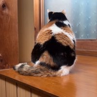 座り込む後ろ姿