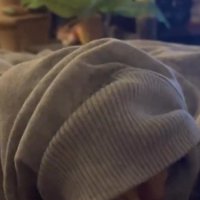 服の袖にはまっている猫の顔