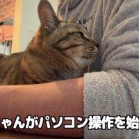 とーちゃんの腕に収まる百太さん