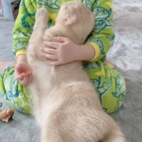 猫を抱きしめる女の子