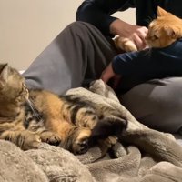 メルくんとプリンくん