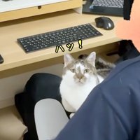 ハッ！