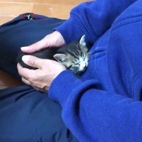 手の中