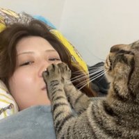 飼い主の口をふさぐ猫